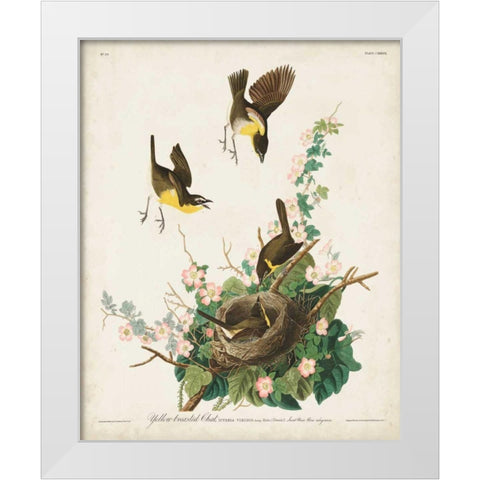 Pl 137 Yellow-breasted Chat White Modern Wood Framed Art Print by Audubon, John James