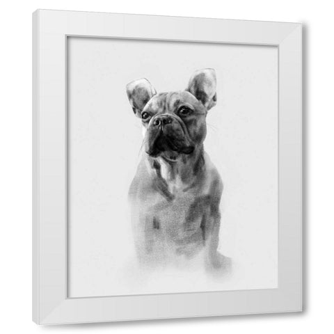 Pug Portrait I White Modern Wood Framed Art Print by Caroline, Emma