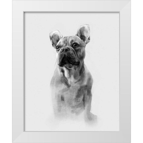 Pug Portrait I White Modern Wood Framed Art Print by Caroline, Emma
