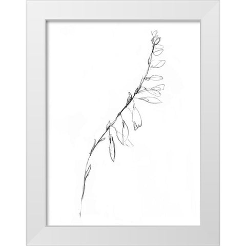 Stem Contour V White Modern Wood Framed Art Print by Goldberger, Jennifer