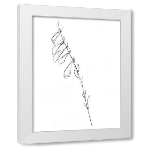 Stem Contour VI White Modern Wood Framed Art Print by Goldberger, Jennifer