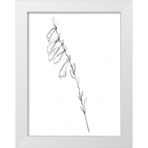 Stem Contour VI White Modern Wood Framed Art Print by Goldberger, Jennifer