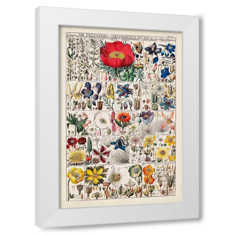 Floral Chart White Modern Wood Framed Art Print by Vision Studio