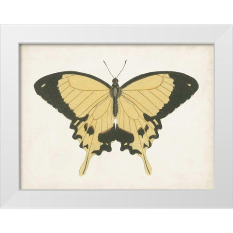 Beautiful Butterfly I White Modern Wood Framed Art Print by Vision Studio