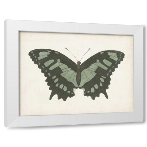 Beautiful Butterfly II White Modern Wood Framed Art Print by Vision Studio