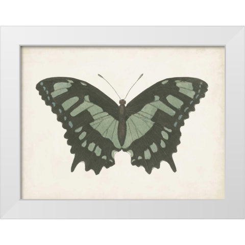 Beautiful Butterfly II White Modern Wood Framed Art Print by Vision Studio