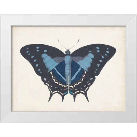 Beautiful Butterfly III White Modern Wood Framed Art Print by Vision Studio