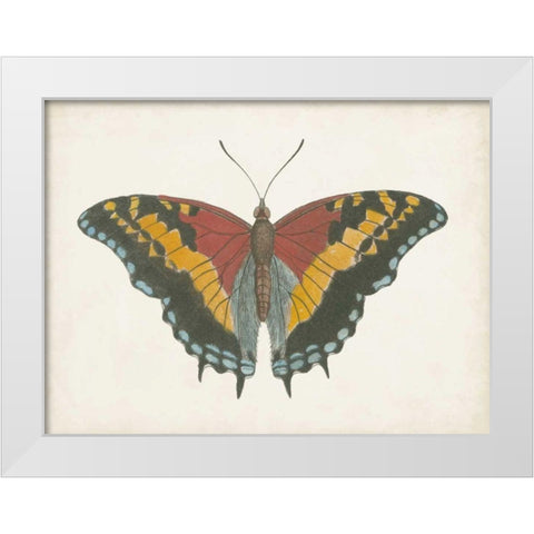 Beautiful Butterfly IV White Modern Wood Framed Art Print by Vision Studio