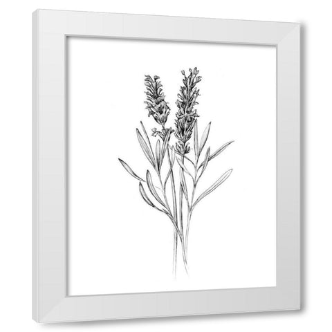 Field Flower II White Modern Wood Framed Art Print by Warren, Annie