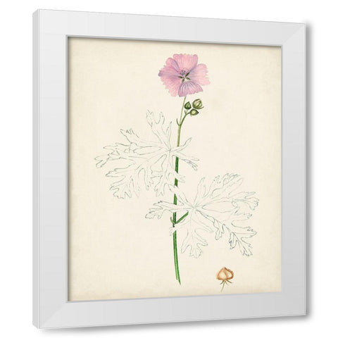 Watercolor Botanical Sketches III White Modern Wood Framed Art Print by Unknown