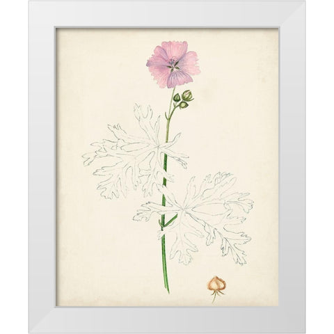Watercolor Botanical Sketches III White Modern Wood Framed Art Print by Unknown