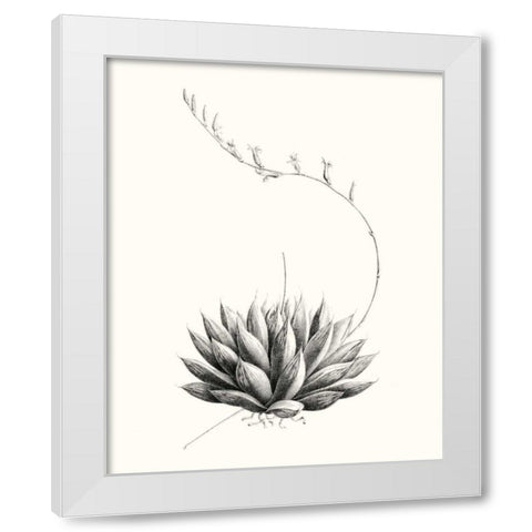 Graphic Succulents IV White Modern Wood Framed Art Print by Vision Studio