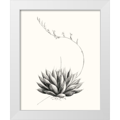 Graphic Succulents IV White Modern Wood Framed Art Print by Vision Studio