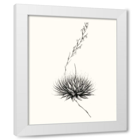 Graphic Succulents V White Modern Wood Framed Art Print by Vision Studio