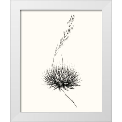 Graphic Succulents V White Modern Wood Framed Art Print by Vision Studio