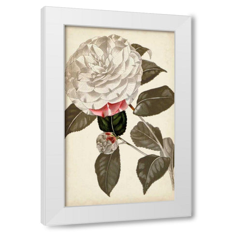 Silvery Botanicals I White Modern Wood Framed Art Print by Vision Studio