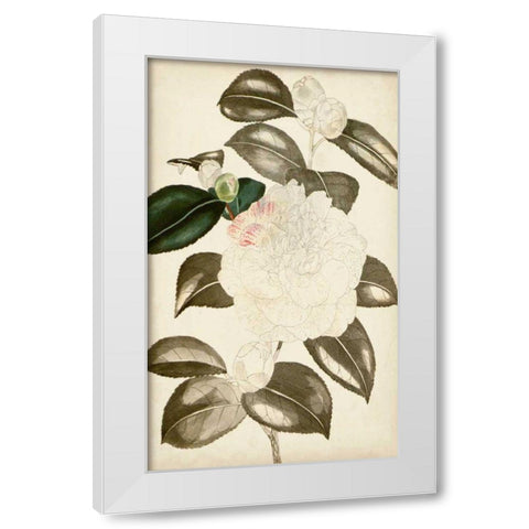 Silvery Botanicals II White Modern Wood Framed Art Print by Vision Studio