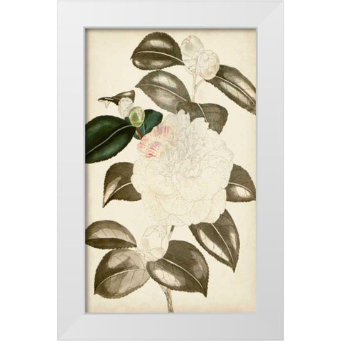 Silvery Botanicals II White Modern Wood Framed Art Print by Vision Studio