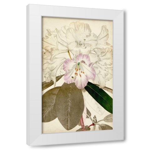 Silvery Botanicals IV White Modern Wood Framed Art Print by Vision Studio