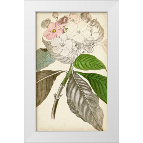 Silvery Botanicals V White Modern Wood Framed Art Print by Vision Studio
