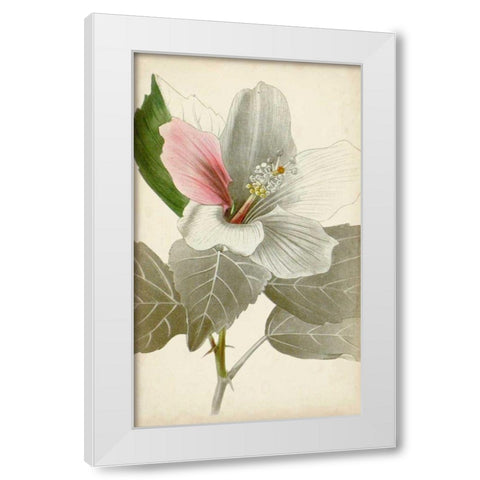 Silvery Botanicals VI White Modern Wood Framed Art Print by Vision Studio
