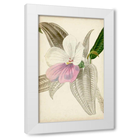 Silvery Botanicals VII White Modern Wood Framed Art Print by Vision Studio