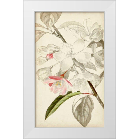 Silvery Botanicals VIII White Modern Wood Framed Art Print by Vision Studio