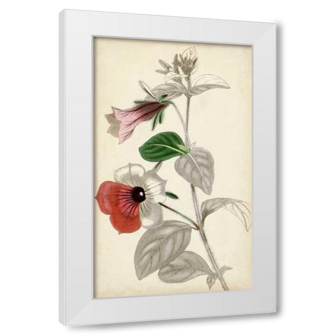 Silvery Botanicals X White Modern Wood Framed Art Print by Vision Studio