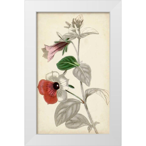 Silvery Botanicals X White Modern Wood Framed Art Print by Vision Studio