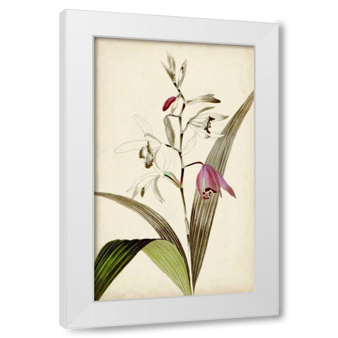 Silvery Botanicals XI White Modern Wood Framed Art Print by Vision Studio