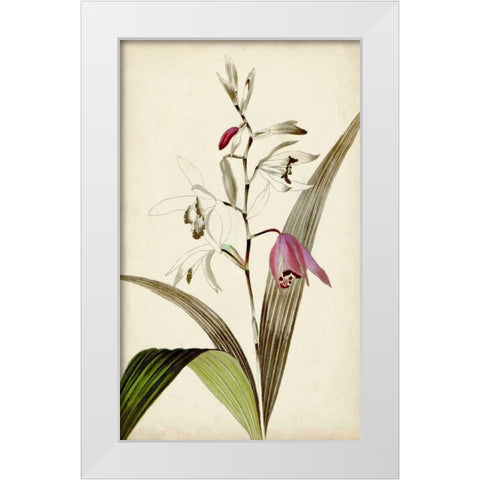 Silvery Botanicals XI White Modern Wood Framed Art Print by Vision Studio