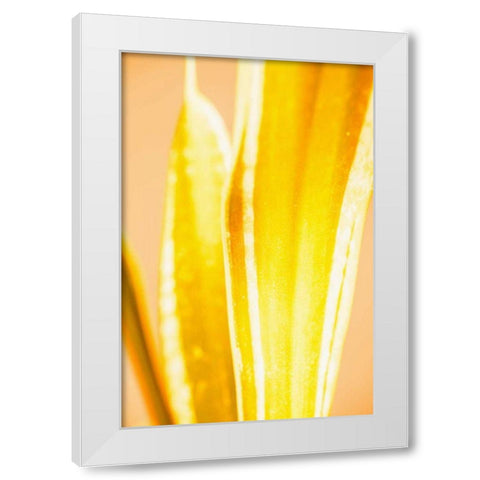 Hot House II White Modern Wood Framed Art Print by Stramel, Renee W.