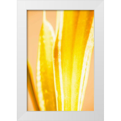 Hot House II White Modern Wood Framed Art Print by Stramel, Renee W.