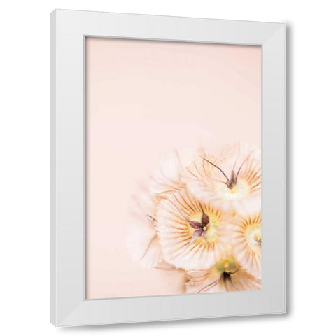 Bleach Blonde I White Modern Wood Framed Art Print by Stramel, Renee W.