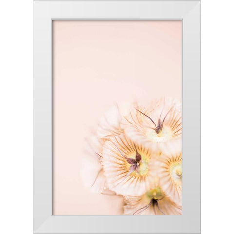 Bleach Blonde I White Modern Wood Framed Art Print by Stramel, Renee W.
