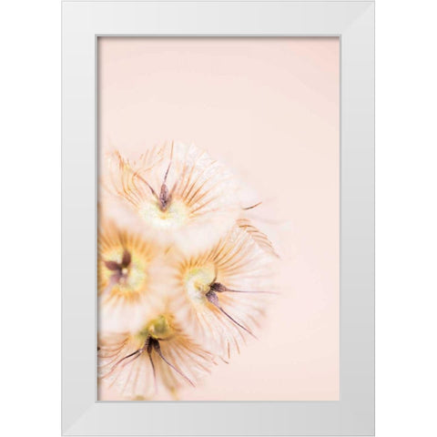 Bleach Blonde III White Modern Wood Framed Art Print by Stramel, Renee W.