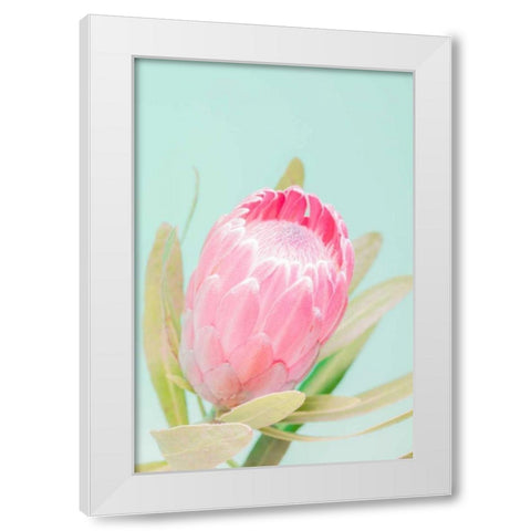 Sun Drenched Blossom I White Modern Wood Framed Art Print by Stramel, Renee W.