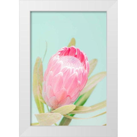 Sun Drenched Blossom I White Modern Wood Framed Art Print by Stramel, Renee W.