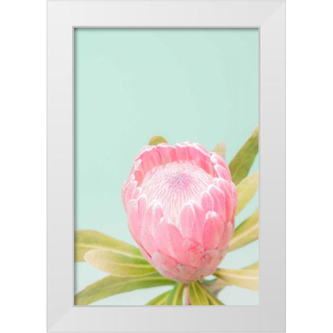 Sun Drenched Blossom II White Modern Wood Framed Art Print by Stramel, Renee W.