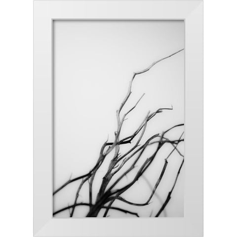 Searching Branches I White Modern Wood Framed Art Print by Stramel, Renee W.