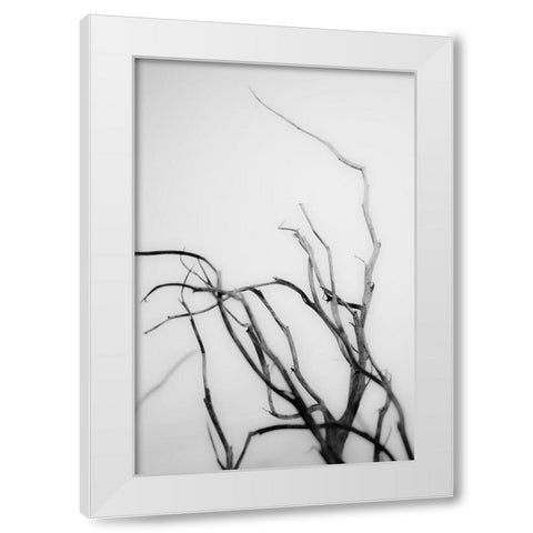 Searching Branches II White Modern Wood Framed Art Print by Stramel, Renee W.