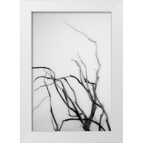 Searching Branches II White Modern Wood Framed Art Print by Stramel, Renee W.