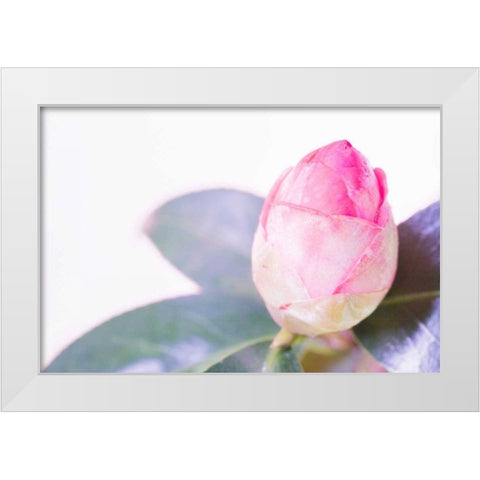 Halogen Bloom I White Modern Wood Framed Art Print by Stramel, Renee W.
