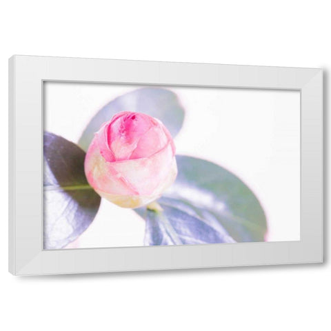 Halogen Bloom II White Modern Wood Framed Art Print by Stramel, Renee W.