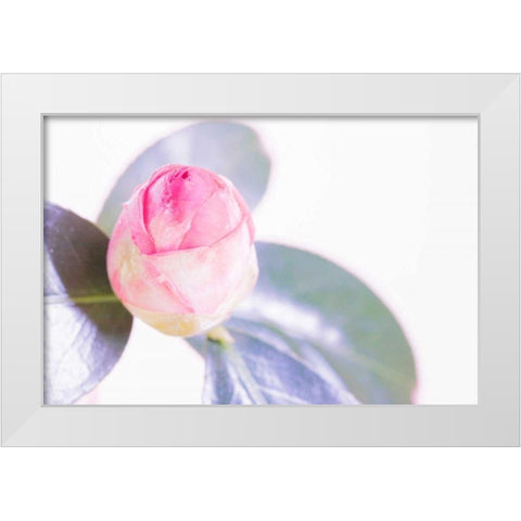 Halogen Bloom II White Modern Wood Framed Art Print by Stramel, Renee W.