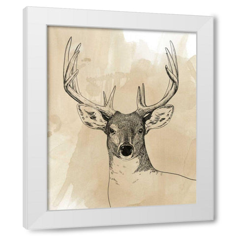 Burnished Buck II White Modern Wood Framed Art Print by Popp, Grace