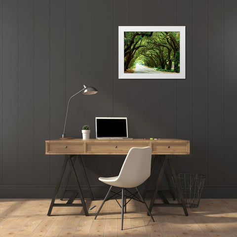 Canopy Road I White Modern Wood Framed Art Print by McLoughlin, James