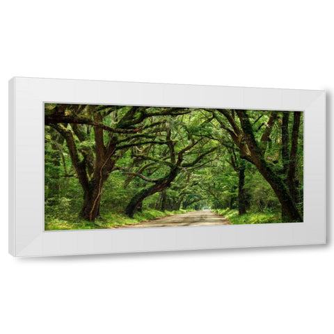 Canopy Road Panorama IV White Modern Wood Framed Art Print by McLoughlin, James