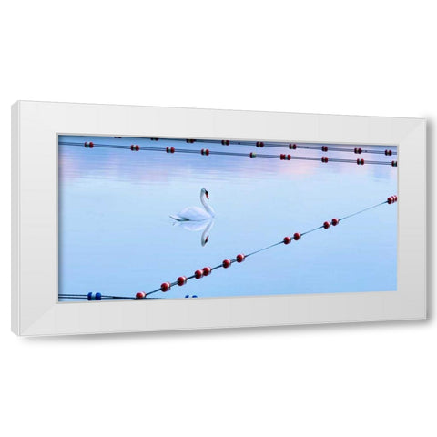 Swan and Ropes White Modern Wood Framed Art Print by McLoughlin, James