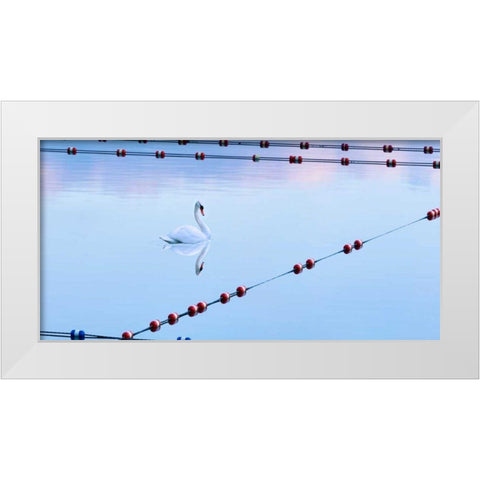 Swan and Ropes White Modern Wood Framed Art Print by McLoughlin, James